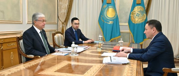 Глава государства принял министра туризма и спорта Ермека Маржикпаева