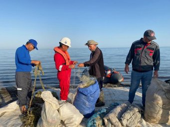В Каспийском море проведут ихтиологический мониторинг для определения количества разных видов рыб