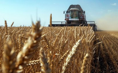 В Казахстане собрали более 21,7 млн тонн зерна в бункерном весе - Минсельхоз