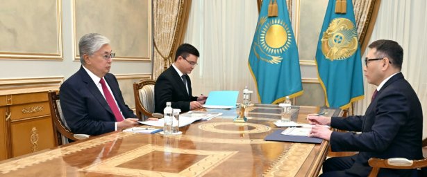 Глава государства принял министра торговли и интеграции Армана Шаккалиева