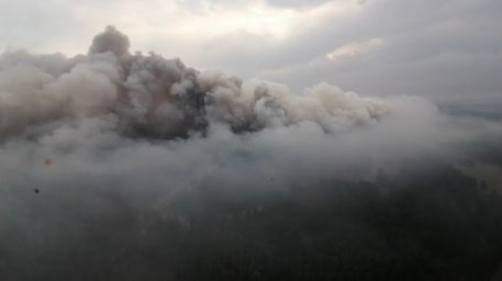 ​Информация по природному пожару в Аулиекольском районе по состоянию на 12:00 часов 7 сентября