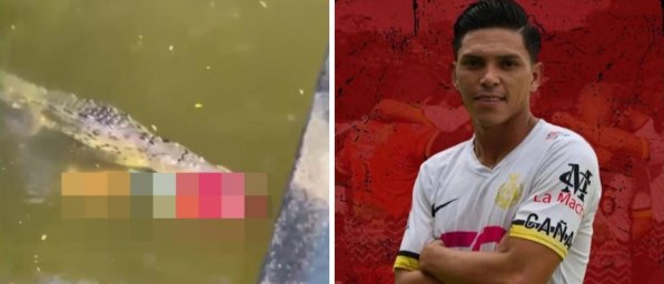 Футболиста любительского клуба в Коста-Рике съел крокодил