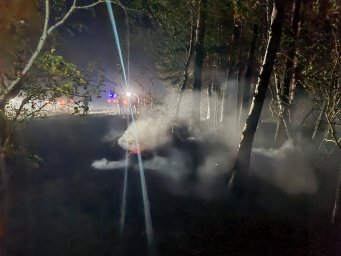 ​Пожар в Зерендинском районе Акмолинской области локализован, проводится окарауливание