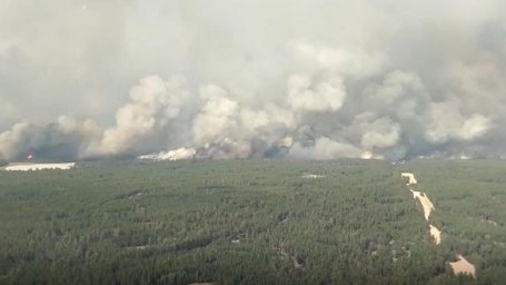 ​Площадь пожара на территориях Басманского и Семиозерного УЛХ - 43 тыс. га