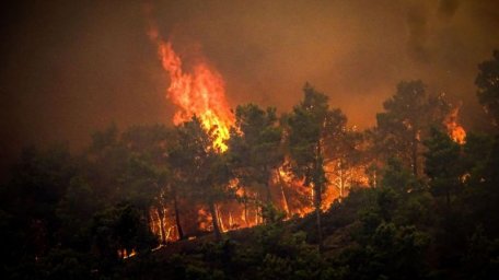 Жара в Греции: остров Родос охвачен пожарами, туристов эвакуируют из гостиниц