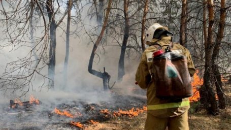 За 12 месяцев в Казахстане зафиксировано более 5 тысяч лесных пожаров и пожарных тревог