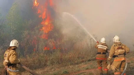 Лесной пожар в Бородулихинском районе области Абай ликвидирован