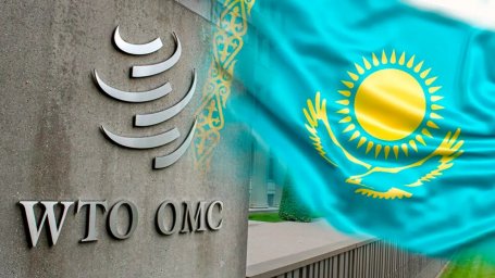 Казахстан в ВТО. Новые возможности или хождение по кругу?