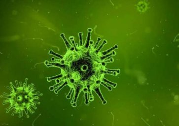 Дельта-вариант коронавирусной инфекции: все, что нужно знать