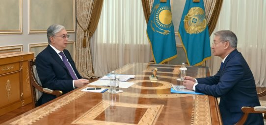 Глава государства принял акима Восточно-Казахстанской области Даниала Ахметова