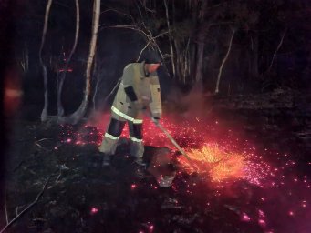 ​200 пожарных тушили лесной пожар в Зерендинском районе Акмолинской области