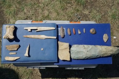 Костяной нож впервые нашли на раскопках ботайской культуры в Акмолинской области
