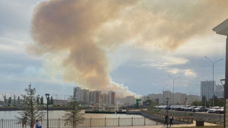 Сухостой загорелся в Нур-Султане