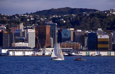 Новая Зеландия упростит правила для иммигрантов на фоне нехватки рабочей силы