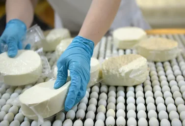 Сыр из Семея признали одним из лучших во Франции