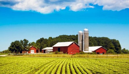 Количество фермерских хозяйств, производящих сельскохозяйственную продукцию увеличилось
