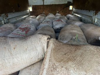 Более 2,5 тонны цист рачка “Артемия салина” изъяли сотрудники УБОП у жителя Павлодара