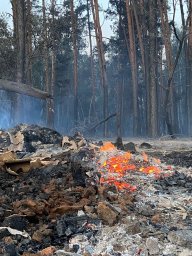 Генпрокуратура сообщает о начале расследований из-за пожаров в Костанайской области