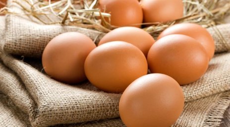 Любители яиц: в РК потребление яиц составляет в среднем 194 штуки в год на душу населения