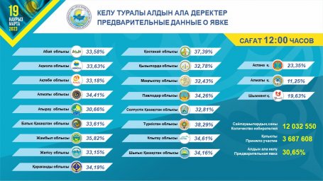 Явка к 12:10 в Казахстане составила 30,65% избирателей