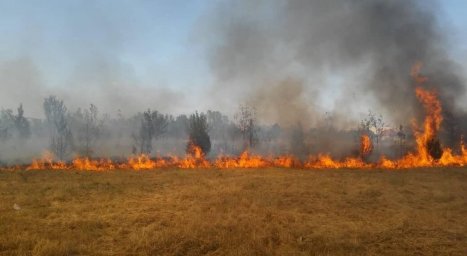 ​Основная площадь природного пожара в Карагандинской области потушена