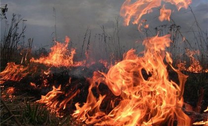 Гроза могла стать причиной пожара в Баянаульском нацпарке