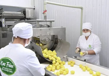 Замороженный картофель-фри начали производить в Кызылорде