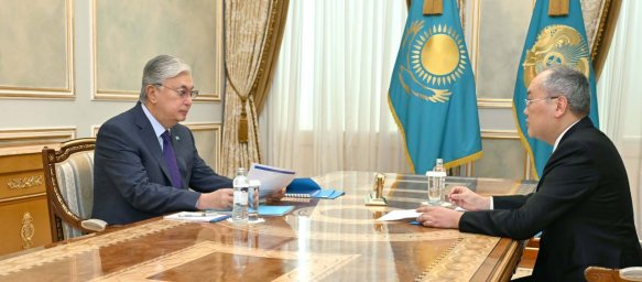 Глава государства принял председателя Агентства по финансовому мониторингу Жаната Элиманова