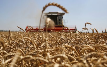 Казахстан и зерновой рынок: анализ и перспективы.