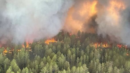 Казахстан вошел в число стран, пострадавших от интенсивных лесных пожаров