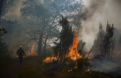Пожары на юго-западе Франции уничтожили уже почти 20 тыс. га леса