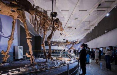В Национальном музее РК в Астане открылись зал палеонтологии и центр ремесленников