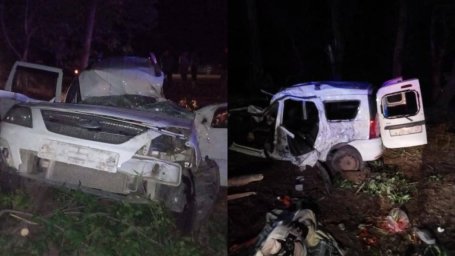 Водитель погиб в ДТП с опрокидыванием авто в Жетысуской области